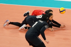 AVC-Korea-vs-Iran08