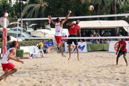 LIB2 vs OMA2-11